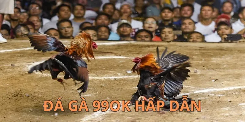 Khám phá đá gà siêu hấp dẫn tại 99OK